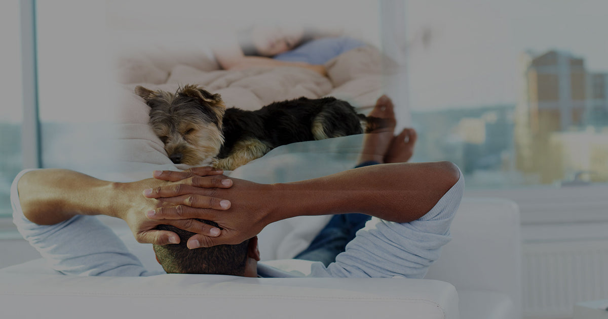 Aids to Living Red Rock Medical Supply